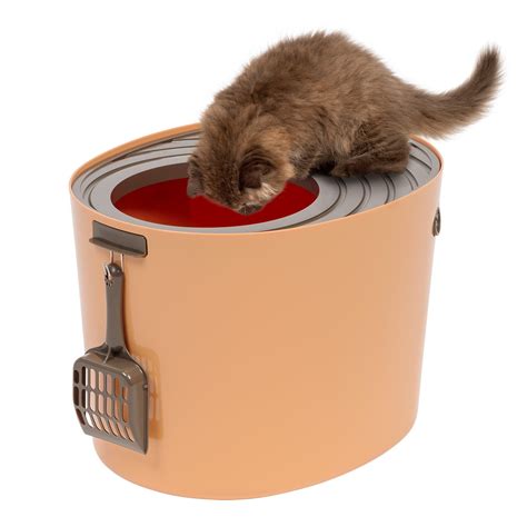 top entry litter box walmart